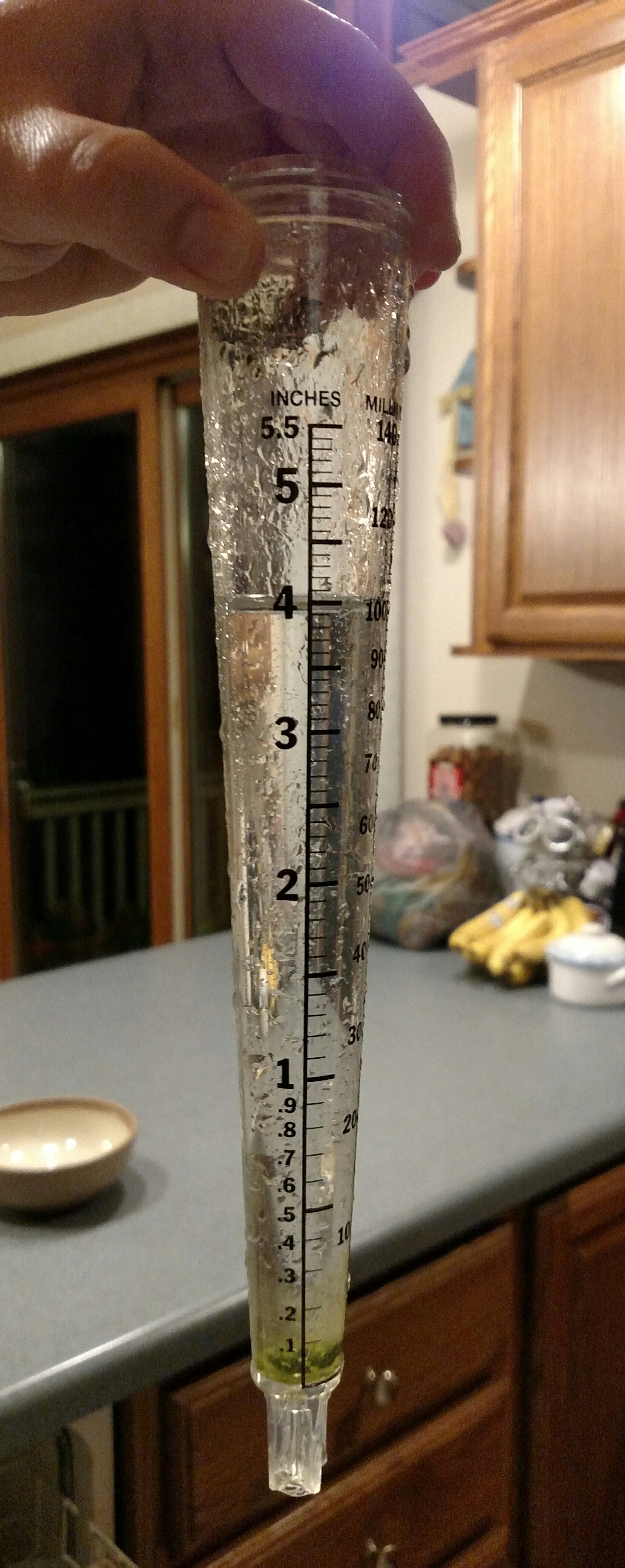 blog-post-4-inches-of-rain-9-7-16